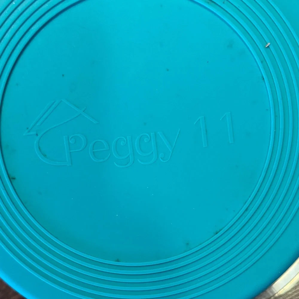 Peggy 11 Stainless Steel Dog Bowls Non-Skid 10” diameter 4” deep.
